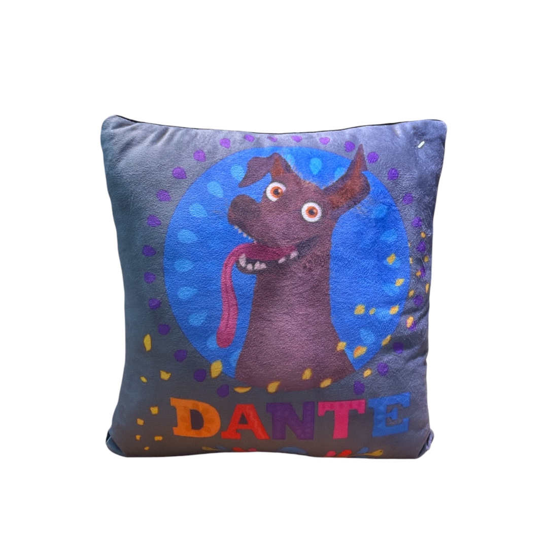 Almohada 40x40 coco